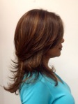 short layers on long hair with highlights